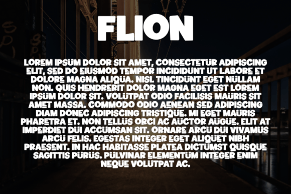 Flion Font - Preview 2