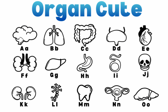 Organ Cute Font PNG with transparent background - Preview 1