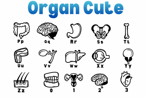 Organ Cute Font PNG with transparent background - Preview 2