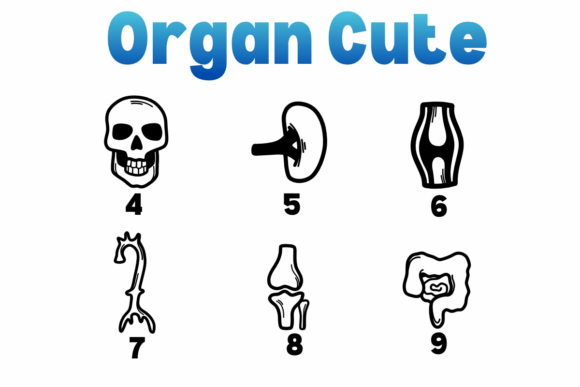 Organ Cute Font PNG with transparent background - Preview 3
