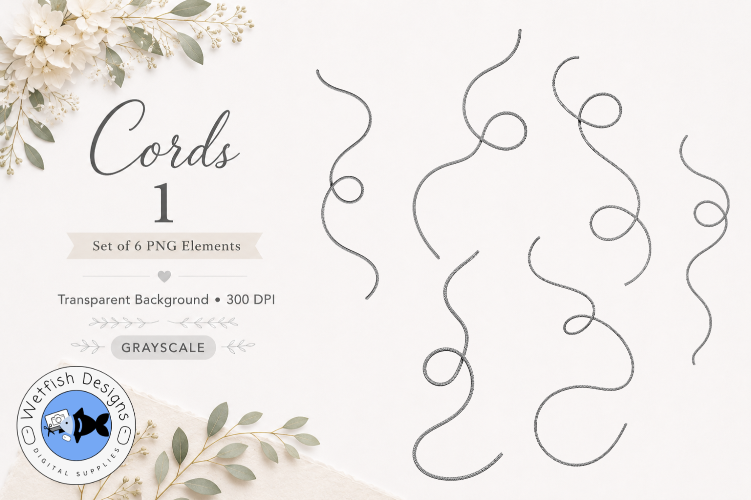 PNG String Cords 1