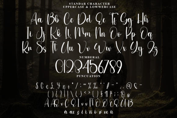 Anybody Font - Preview 4