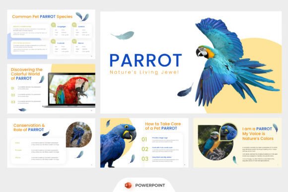 Bird Animal PowerPoint
