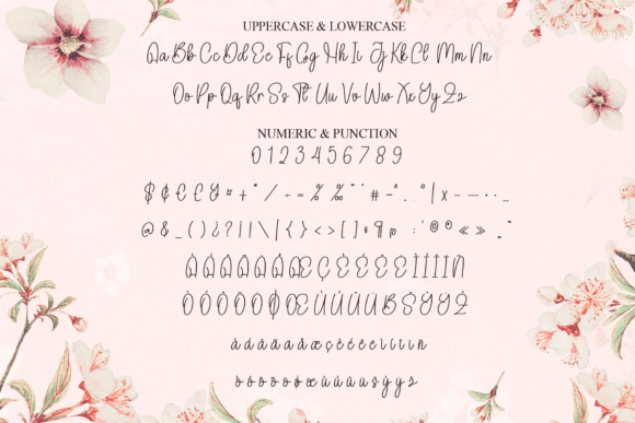Delighter Font - Preview 6