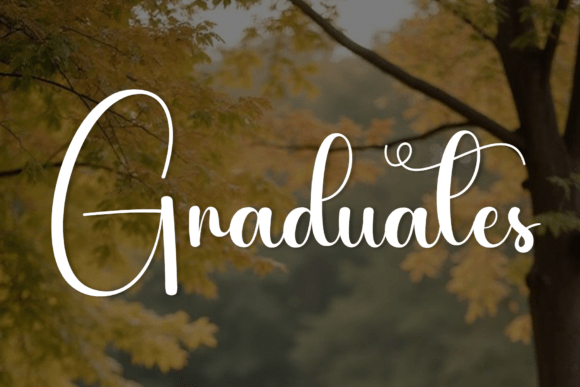 Diligents Font - Preview 3