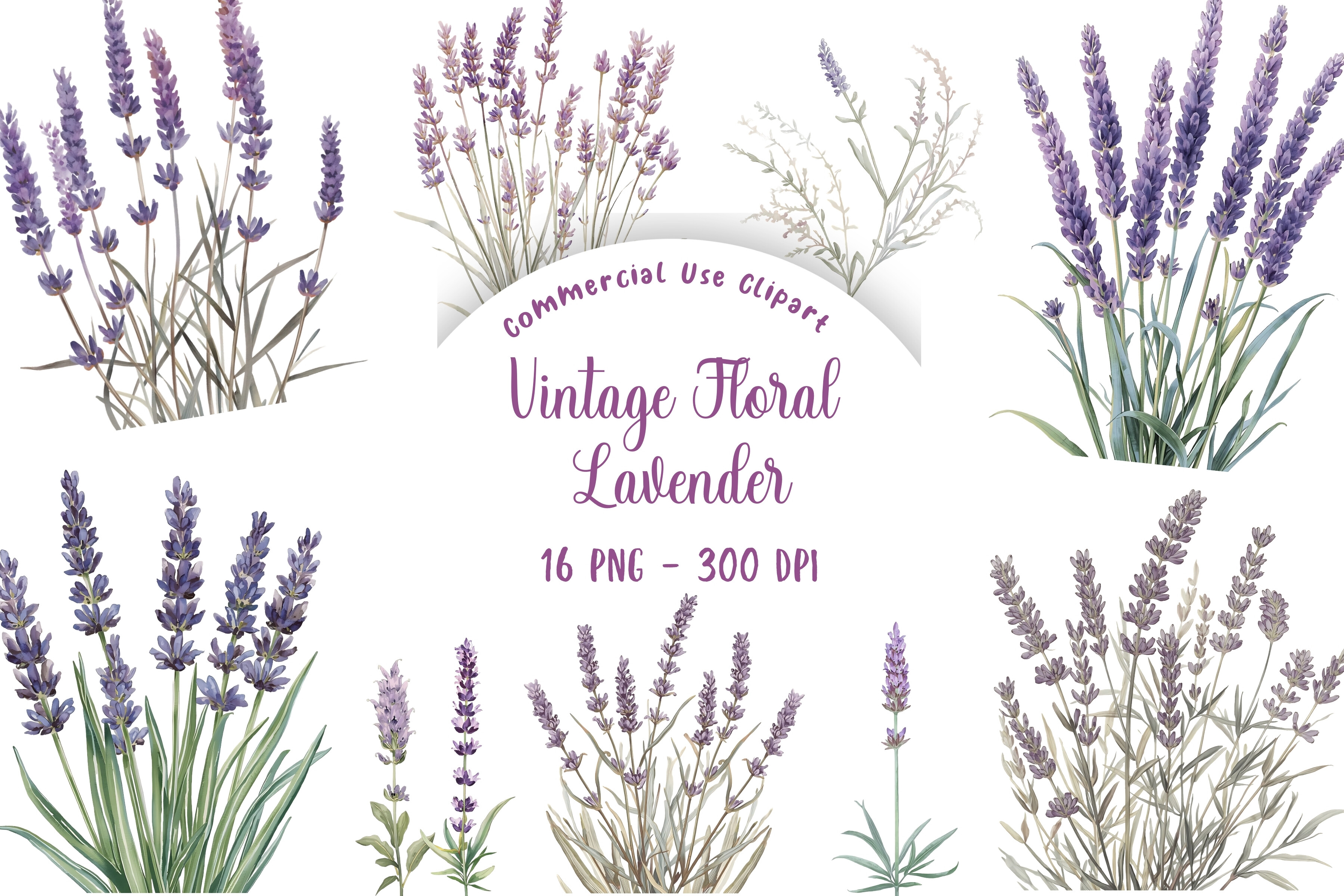 Watercolor Lavender Flower Clipart Graphic by Pixie Craftery · Creative ...