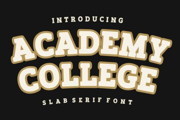 Academy College