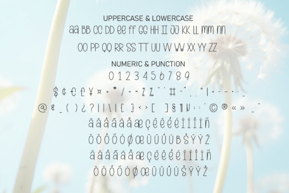 Dandelion Font - Preview 6