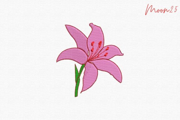 Pink Lily Blossom Garden Bloom