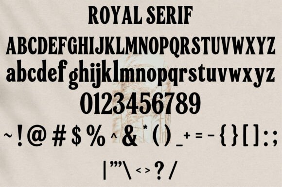 Royal Serif Font PNG with transparent background - Preview 1