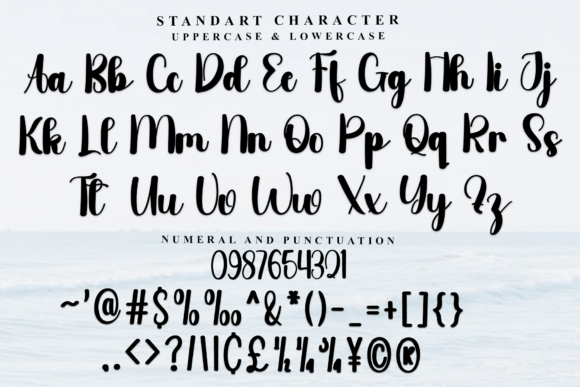 Background Autograph Font - Preview 4