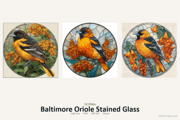 Baltimore Oriole Stained Glass Gráfico Ilustrações para Impressão Por Velvet.Sparrow
