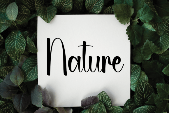 Bombastic Font - Preview 1