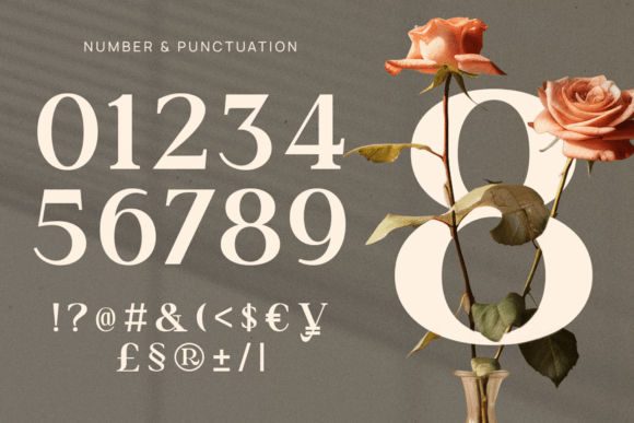 Carsen Font PNG with transparent background - Preview 3