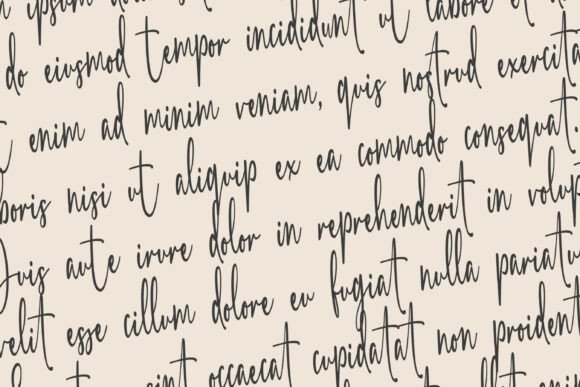 Peter Carsten Font PNG with transparent background - Preview 5
