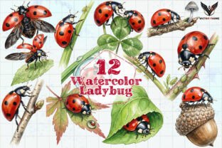 Watercolor Ladybug Clipart PNG Graphic by VictoryHome · Creative Fabrica