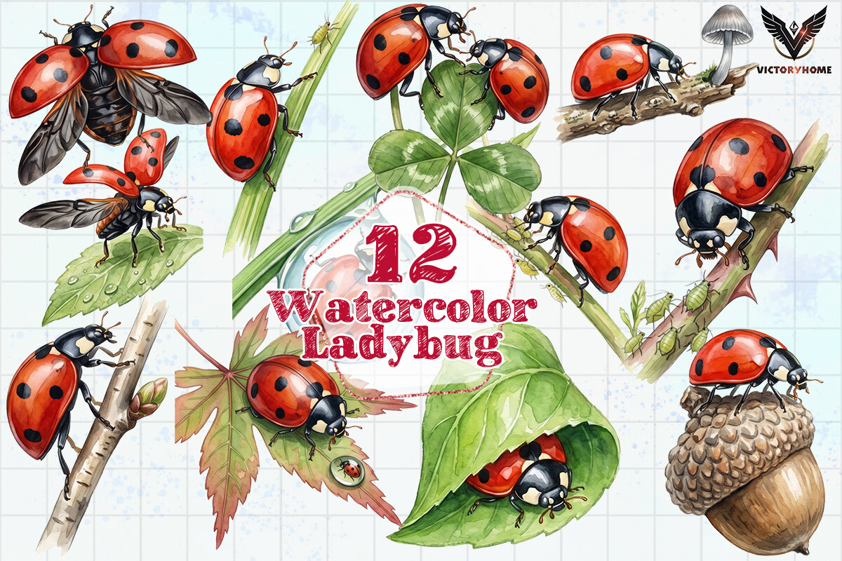Watercolor Ladybug Clipart PNG Graphic by VictoryHome · Creative Fabrica