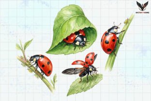 Watercolor Ladybug Clipart PNG Graphic by VictoryHome · Creative Fabrica