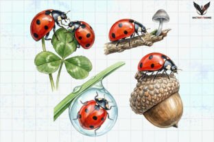 Watercolor Ladybug Clipart PNG Graphic by VictoryHome · Creative Fabrica