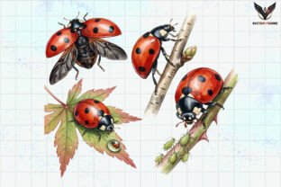 Watercolor Ladybug Clipart PNG Graphic by VictoryHome · Creative Fabrica