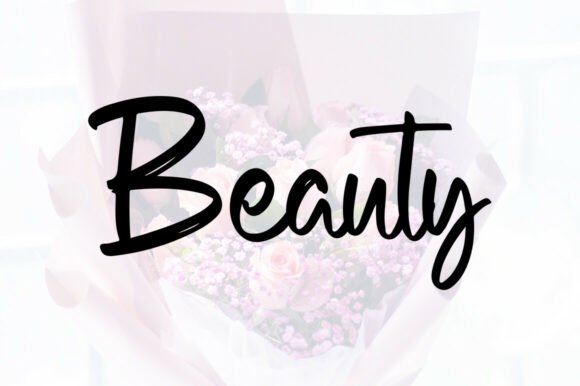 Catalina Font - Preview 3