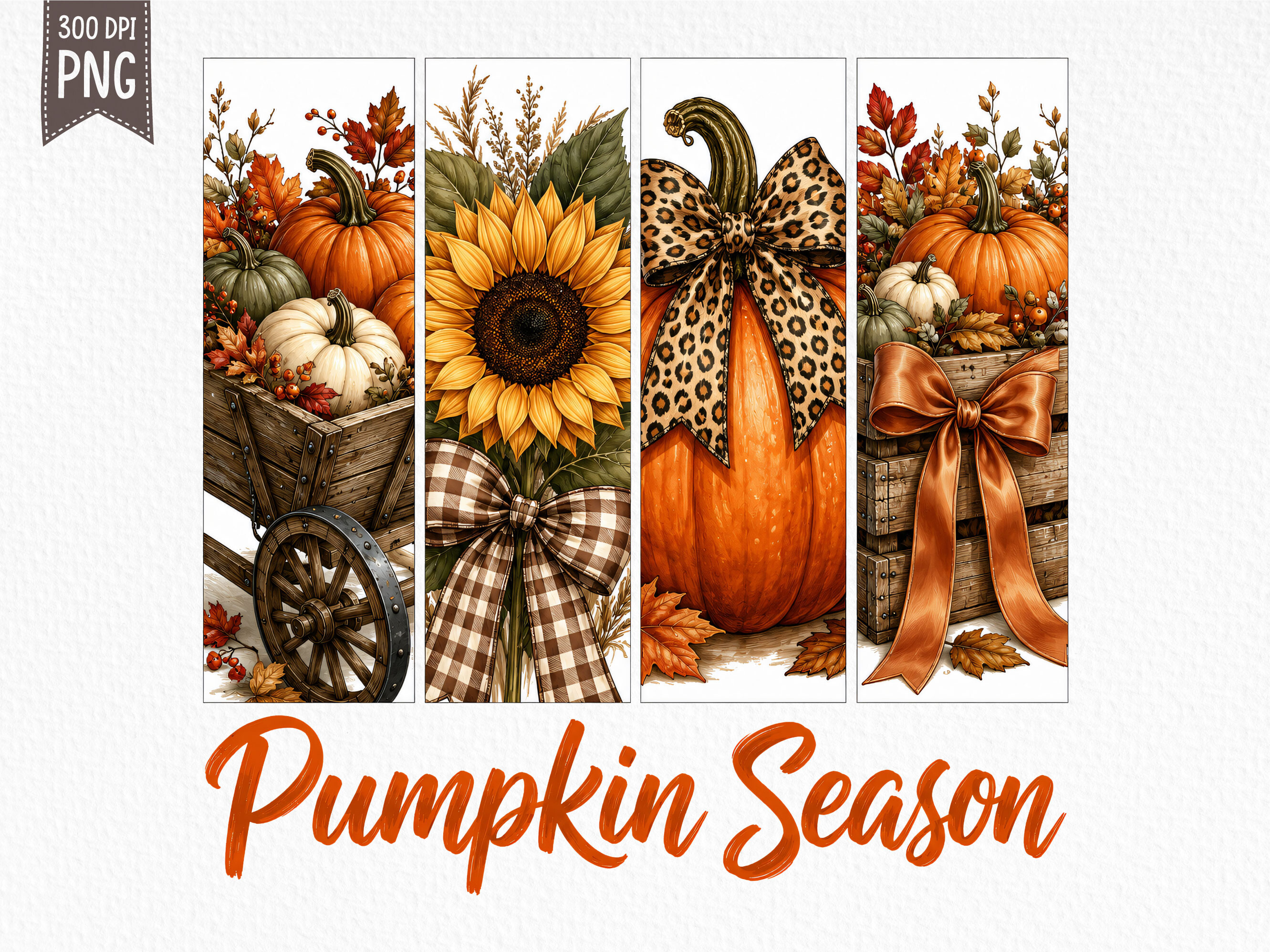 Coquette Pumpkin Season Fall PNG Graphic by SR Design · Creative Fabrica