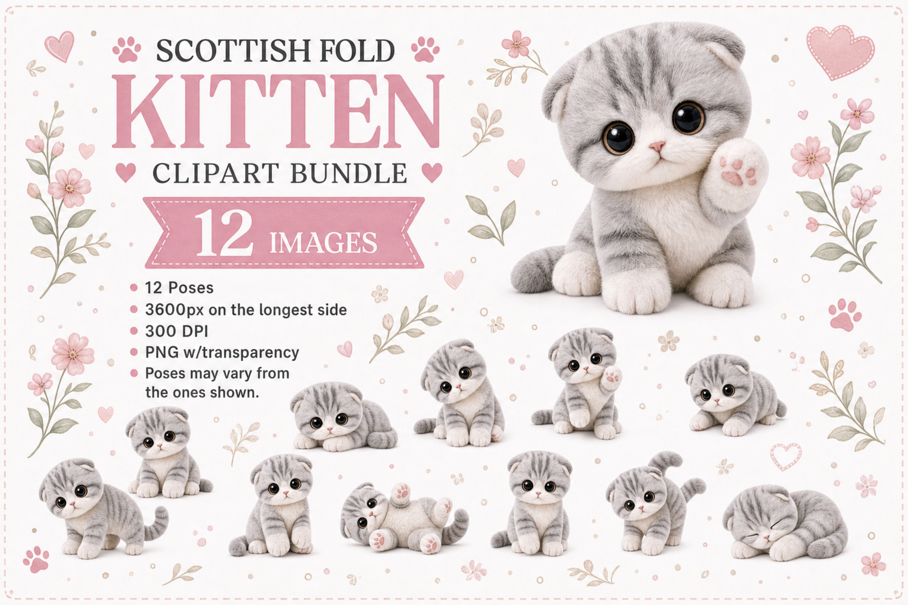 Plush Scottish Fold Kitten Clipart