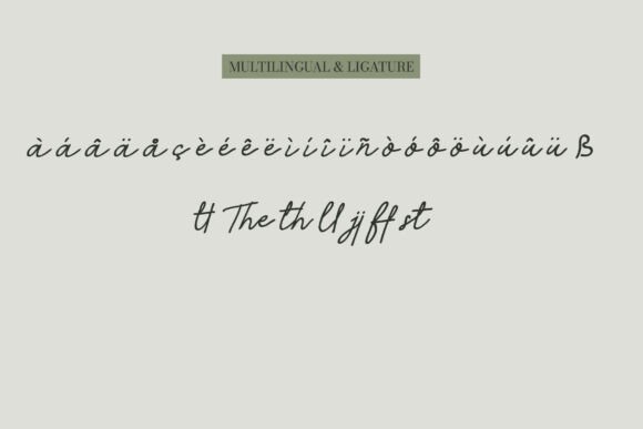 Alacati Font - Preview 4