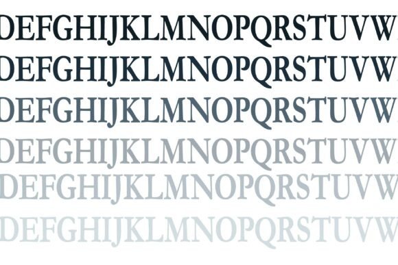 Graduation Monogram Banner Family Font - Preview 4