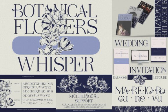 Modern Elegant Serif Font PNG with transparent background - Preview 3