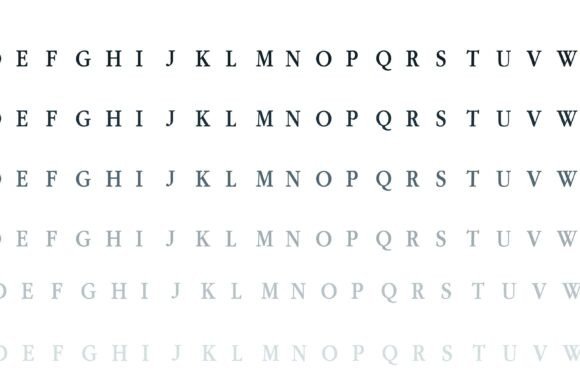 Mortarboard Monogram Family Font font preview - 3