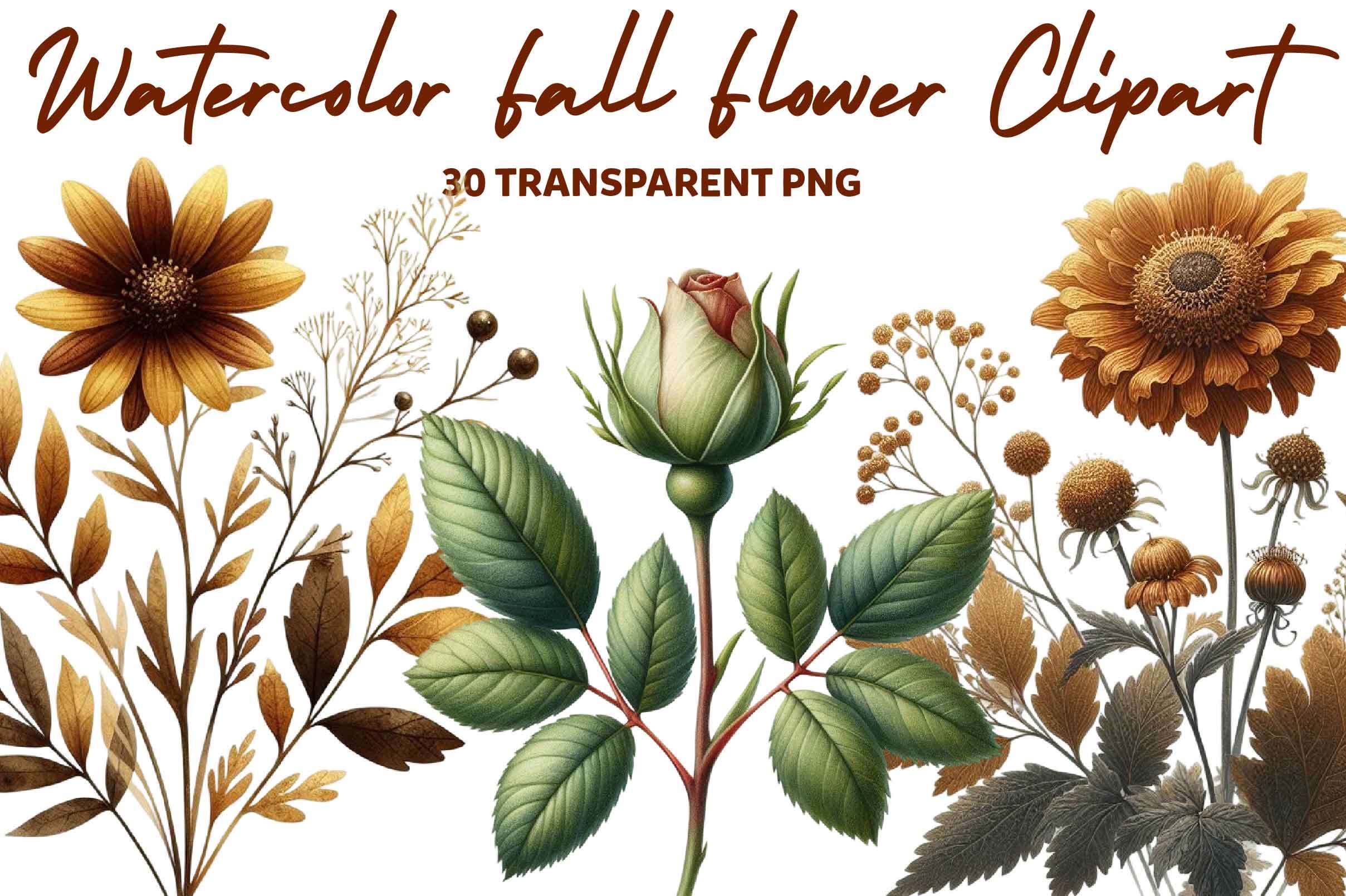 Watercolor Fall Flower Clipart Graphic by Pink Studio · Creative Fabrica
