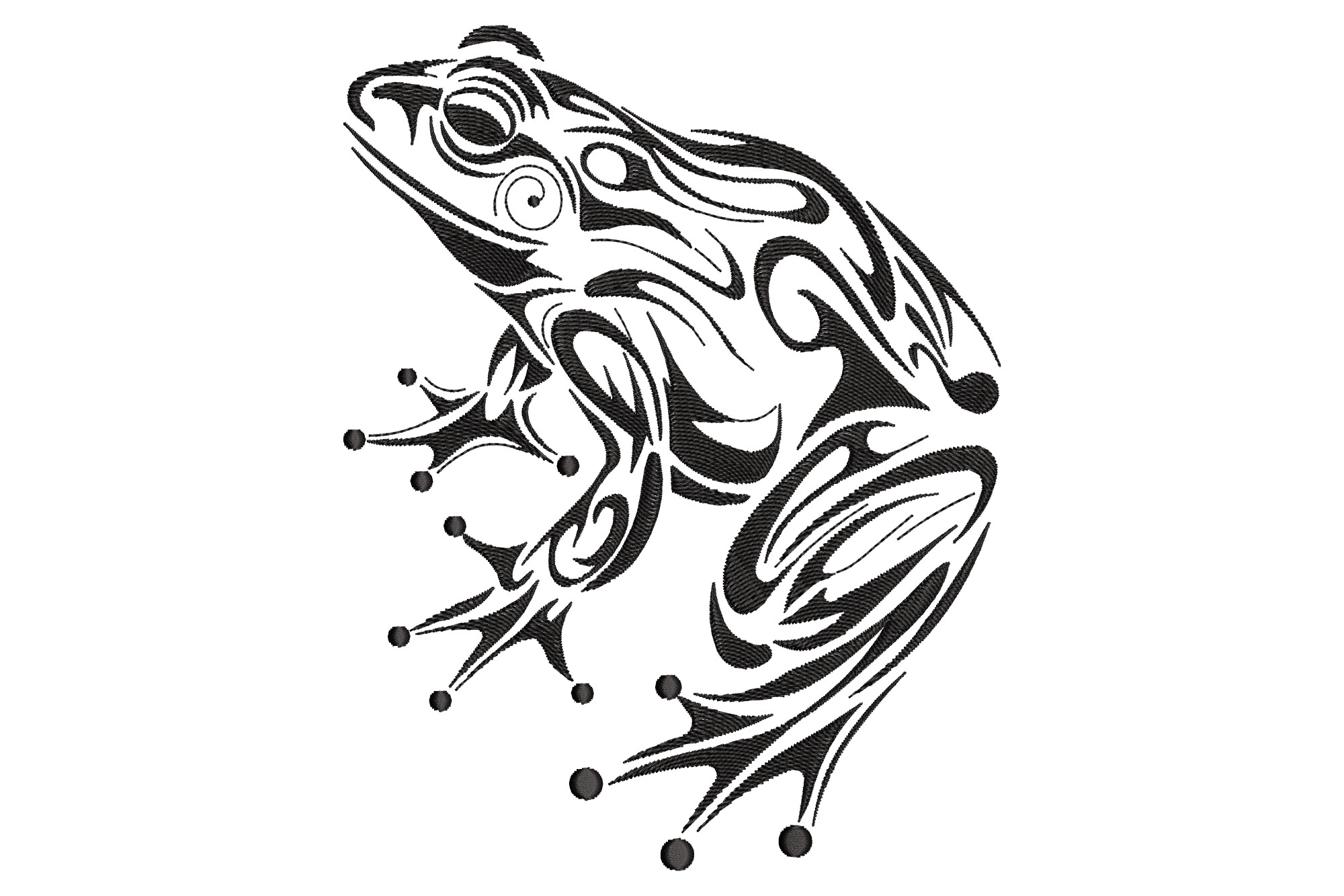 Beautiful Frog