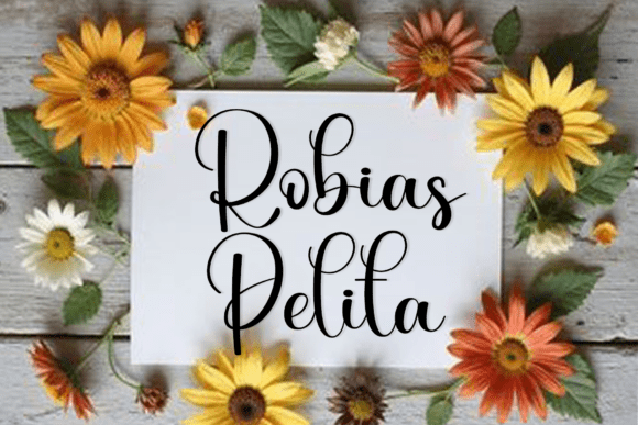 Beauty Pilating Font - Preview 3