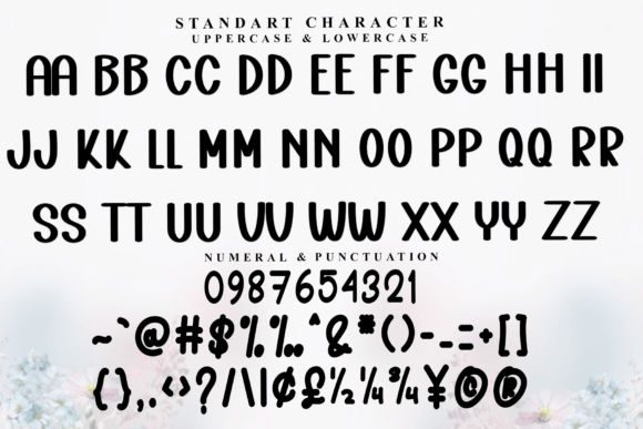 Book Signature Font - Preview 3