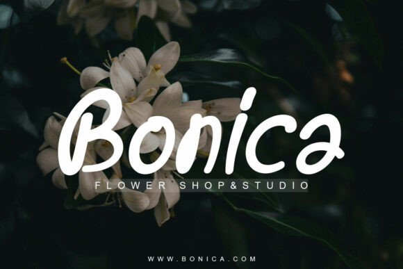 Saloka Font PNG with transparent background - Preview 1