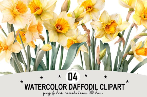 Watercolor Daffodil Clipart Graphic by Design December · Creative Fabrica