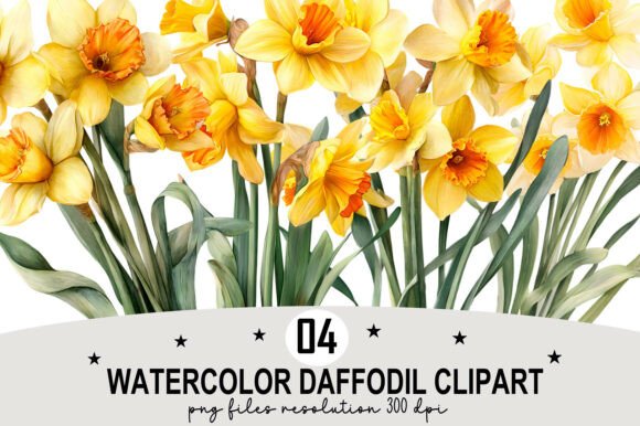 Watercolor Daffodil Clipart Graphic by Design December · Creative Fabrica