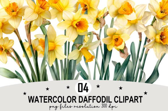 Watercolor Daffodil Clipart Graphic by Design December · Creative Fabrica