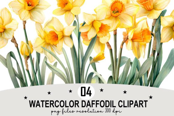 Watercolor Daffodil Clipart Graphic by Design December · Creative Fabrica