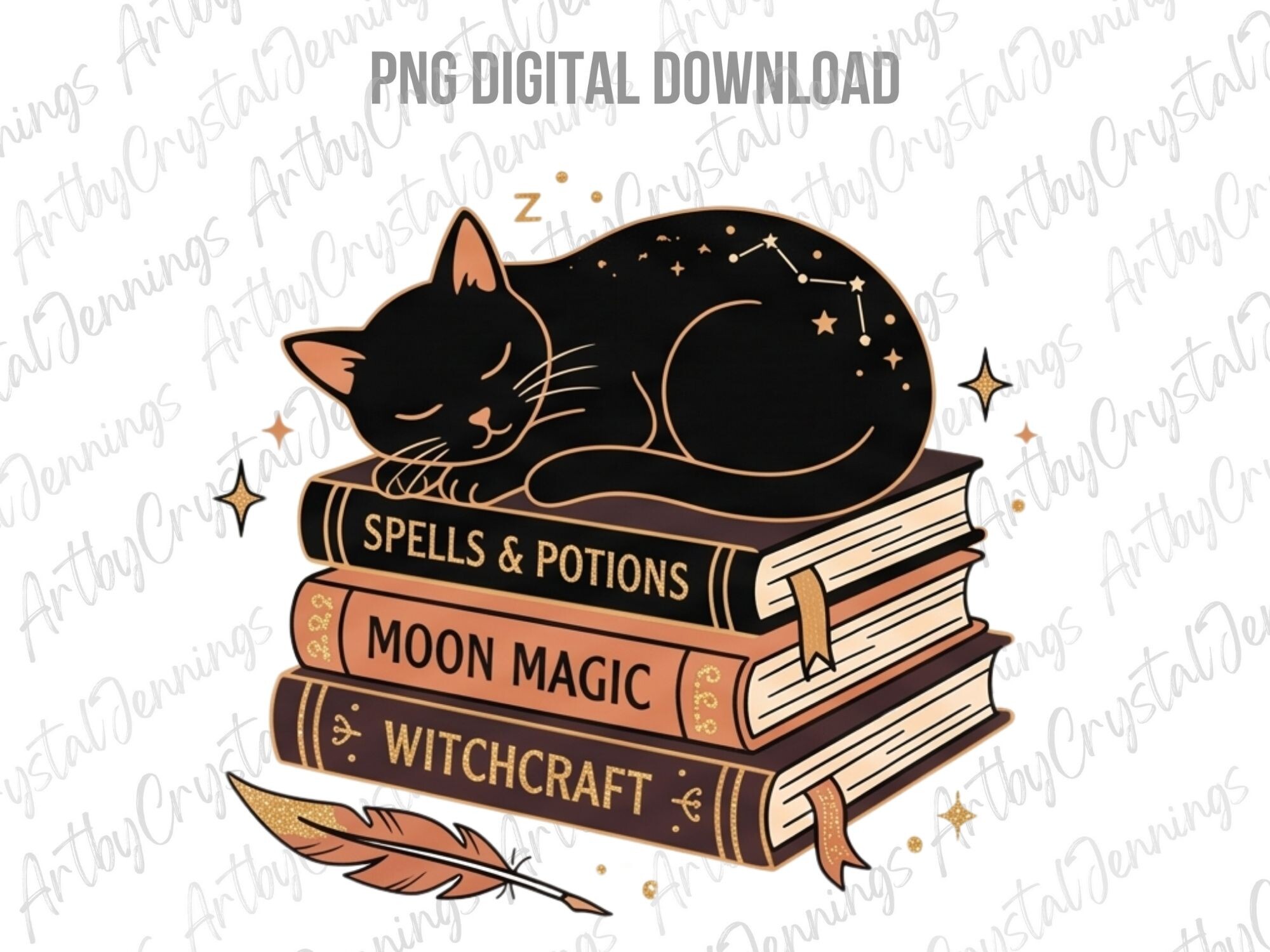Celestial Black Cat Book PNG