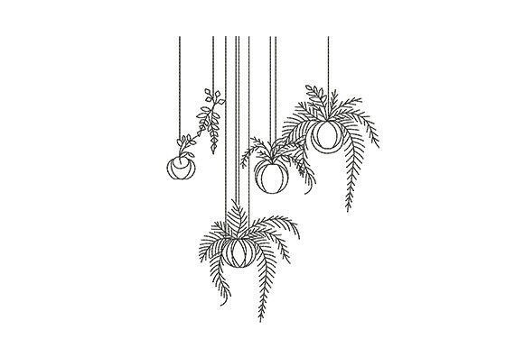 Hanging Plants