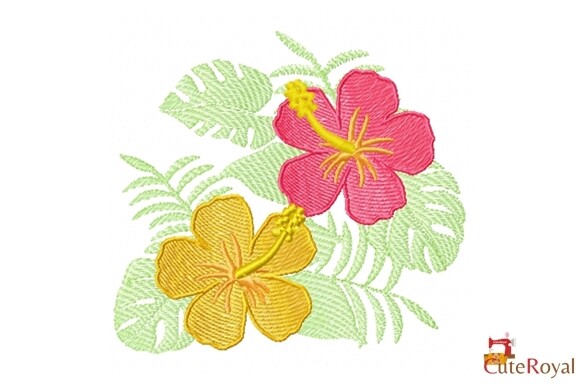 Tropical Hibiscus Flowers