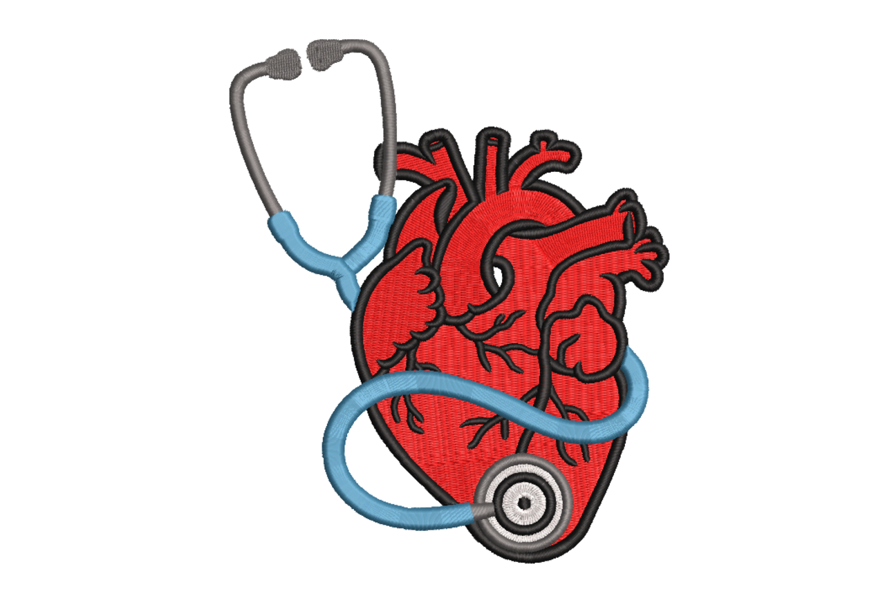 Anatomical Heart & Stethoscope