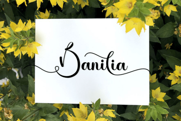 Baila Font - Preview 1