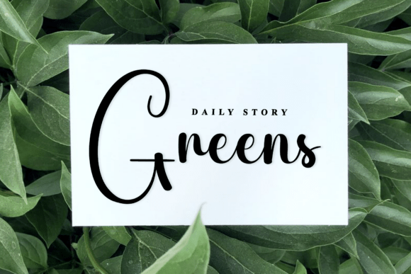 Baila Font - Preview 2