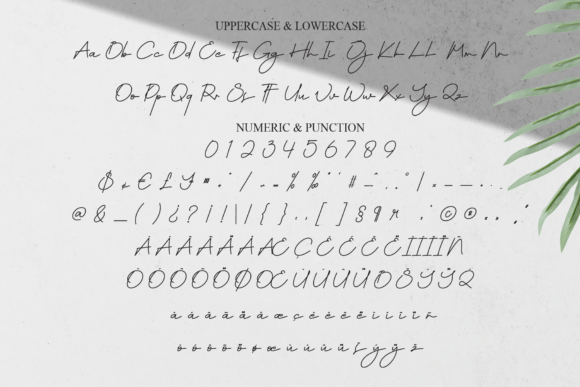 Belgia Signature Font - Preview 6