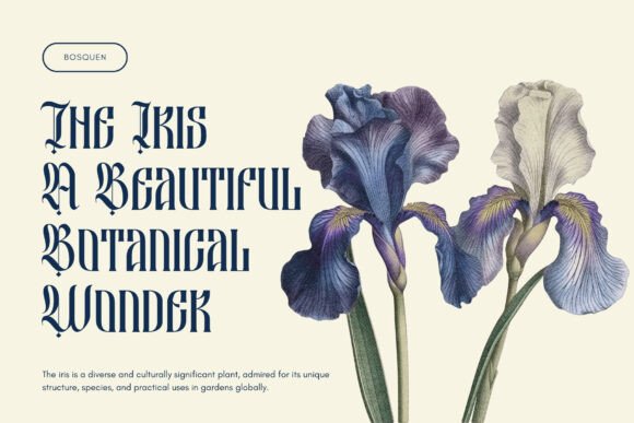 Besquen Font - Preview 6