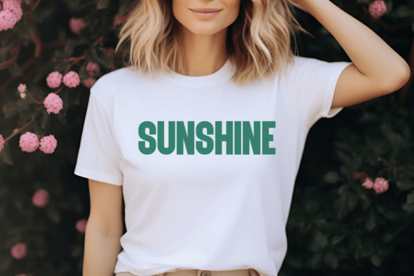 Blush Font - Preview 1