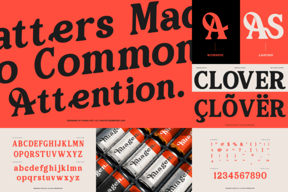 Bold Serif Bundle Font PNG with transparent background - Preview 3